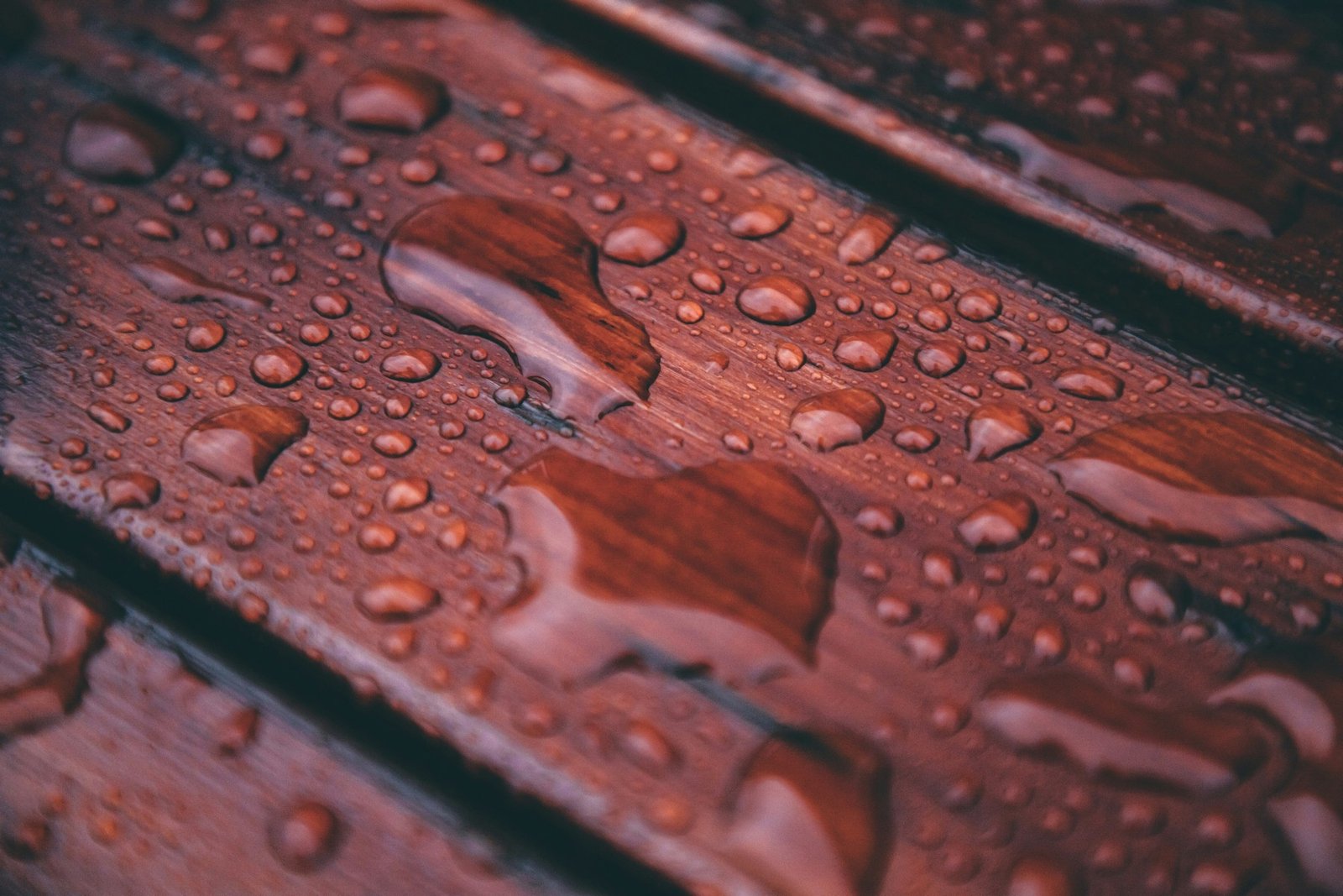 Rutschige Holzterrasse mit Grünbelag nach Regen